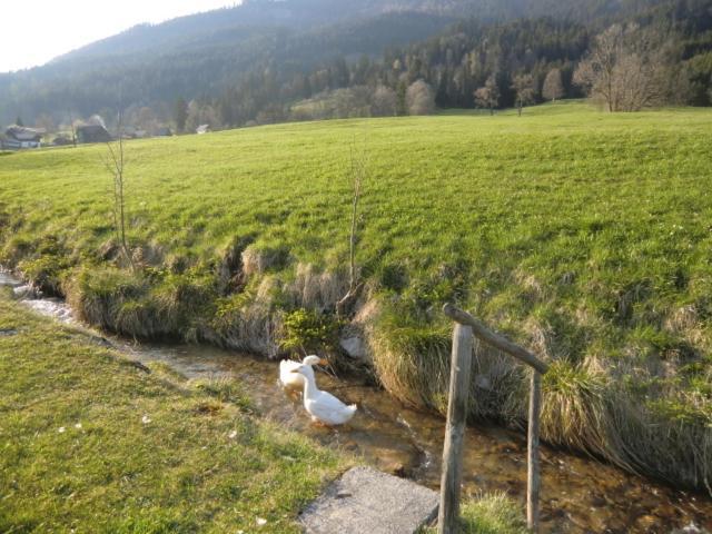 Bunzbauernhof Vila Bad Mitterndorf Exterior foto